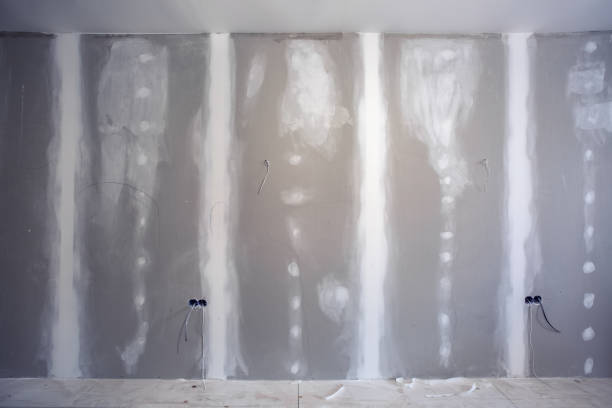 Best Drywall Sanding and Smoothing  in Fosston, MN